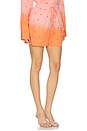 view 2 of 6 Hichigan Embellished Short in Marzipani