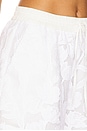 view 6 of 6 Hazer Lace Shorts in White