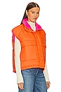 view 4 of 6 Puffer Bodywarmer in Tiger Blossom