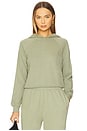 view 1 of 5 Shrunken Lightweight French Terry Hoodie Sweatshir in Sage