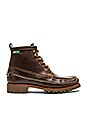 view 1 of 5 BOTTES FRANCONIA 1955 in Oak Leather