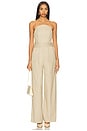 view 1 of 3 Crosby Jumpsuit in Taupe