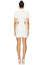view 3 of 3 Terra Dress in Ivory