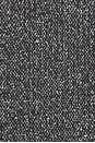 view 6 of 5 Viktor Suiting Jacket in Black & White
