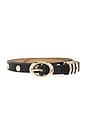 view 3 of 3 Classic Studded Skinny Belt in Carbon Black