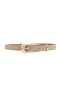 view 1 of 3 Large Signature Buckle Belt in Shiitake Suede & Gold