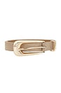 view 3 of 3 Large Signature Buckle Belt in Shiitake Suede & Gold