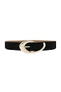 view 1 of 3 Croc Print Belt in Black & Gold