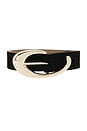 view 3 of 3 Croc Print Belt in Black & Gold