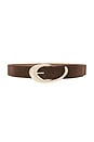 view 1 of 3 Suede Belt in Warm Truffle & Gold