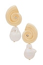 view 1 of 2 Shell And Pearl Earring in Gold