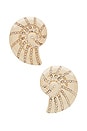 view 1 of 2 Shell Earring in Gold