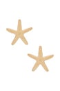 view 1 of 2 Starfish Earring in Gold