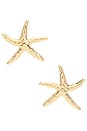 view 1 of 2 Starfish Luxe Earrings in Gold