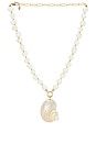 view 1 of 2 Sunken Treasure Shell Necklace in Gold