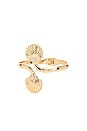view 1 of 3 Oceanic Dream Scallop Bangle in Gold