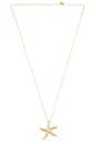 view 1 of 2 Starfish Link Chain Necklace in Gold