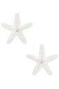 view 1 of 2 Statement Starfish Stud Earrings in Silver