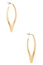 view 2 of 3 Oblong Abstract Hoop Earrings in Gold