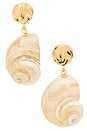 view 1 of 2 Sunken Treasure Shell Drop Earrings in Gold
