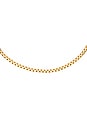 view 2 of 3 CUELLO CADENA SINGLE ROLO CHAIN NECKLACE in Gold