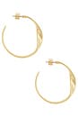 view 2 of 3 Heirloom Twist Medium Hoop Earrings in Gold