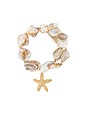 view 2 of 6 True Shell Bracelet Set in Neutral