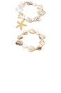 view 4 of 6 True Shell Bracelet Set in Neutral