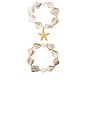 view 5 of 6 True Shell Bracelet Set in Neutral