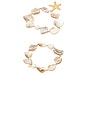 view 6 of 6 True Shell Bracelet Set in Neutral