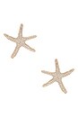 view 1 of 2 Pav? Starfish Earrings in Gold