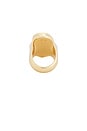 view 3 of 3 Abalone Hidden Gem Ring in Gold