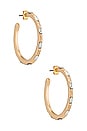 view 1 of 2 Crystal Detail Hoop in Gold