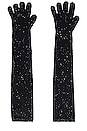 view 2 of 2 Coraline Gloves in Black