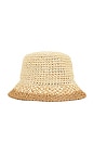 view 3 of 3 Bailey Bucket Hat in Ivory & Camel