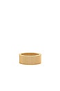 view 1 of 1 Etta Mesh Ring in Gold