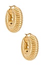 view 1 of 2 BOUCLES D'OREILLES CORIA in Gold