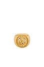 view 1 of 4 Tara Lion Signet Ring in Gold