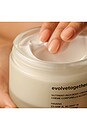 view 7 of 9 Nutrient-Rich Body Cream in Havana