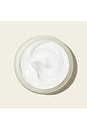 view 8 of 9 Nutrient-Rich Body Cream in Havana