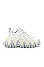 view 1 of 6 TÊNIS HALO in Off White