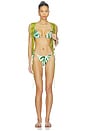 view 4 of 4 Layla Bikini Bottom in Jungle Rhythm