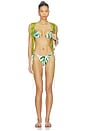 view 4 of 4 Layla Bikini Top in Jungle Rhythm