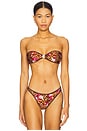 view 1 of 4 Tallara Bikini Top in Dolce