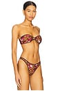view 2 of 4 Tallara Bikini Top in Dolce