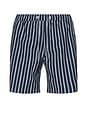 view 1 of 4 Graphic Swim Shorts in Navy Iris Helio Stripe