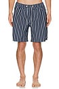 view 4 of 4 Graphic Swim Shorts in Navy Iris Helio Stripe