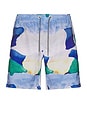 view 1 of 3 Graphic Swim Shorts in Multi Painted Landscape Print