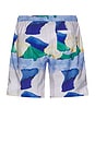 view 2 of 3 Graphic Swim Shorts in Multi Painted Landscape Print