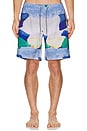 view 3 of 3 Graphic Swim Shorts in Multi Painted Landscape Print